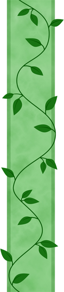 A simple Repeating vine pattern over a green stripe.  