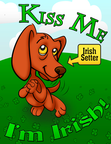 Irish Setter 3
