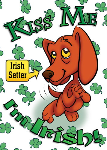 Irish Setter 3