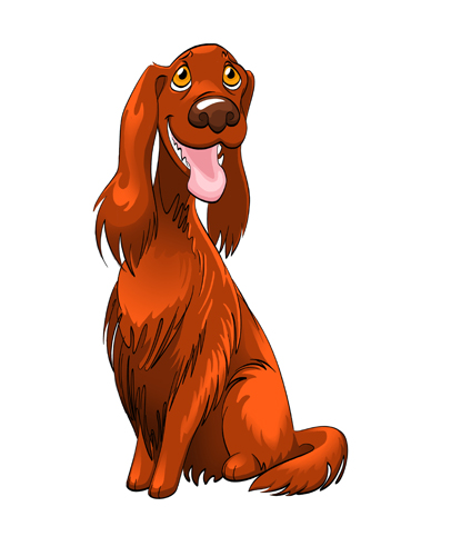 Irish Setter 500