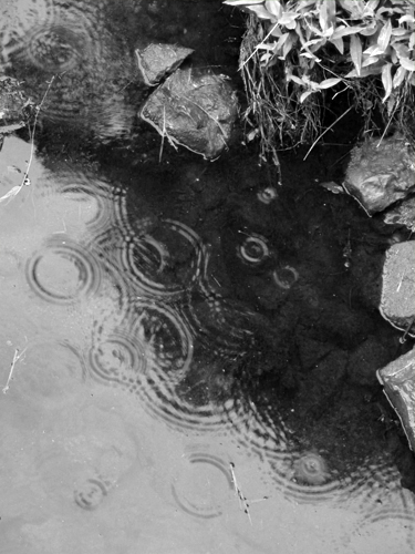 Raindrops in a Stream