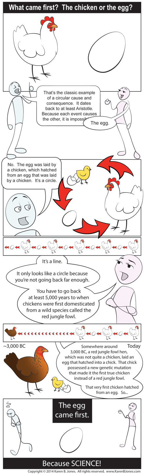 Which came first?  The chicken or the egg? Please note that this is a bit simplified, since it's doubtful that the distinction between a red jungle fowl and a chicken came about in just one generation.  More likely, there were quite a few generations of a long grey area between sorta-a-red-jungle-fowl-sorta-a-chicken before it became obviously the distinct species we now call a chicken.   But, either way, the egg still came first.  