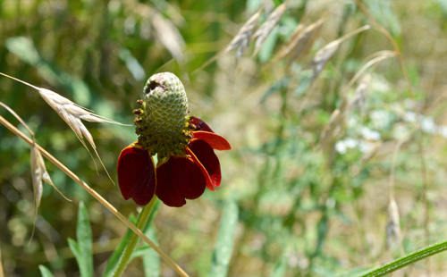 Untitled_Panorama1 500