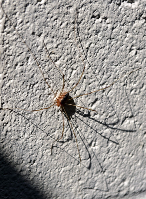 Untitled_Panorama1 500