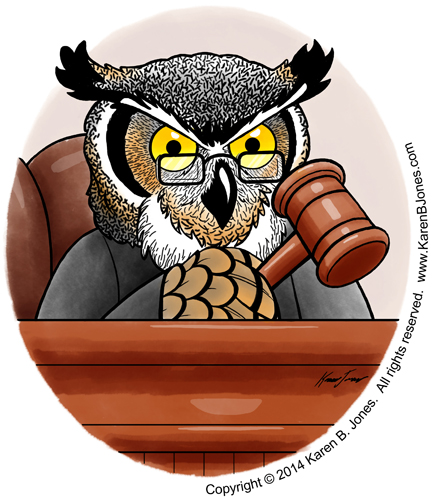 Judge Owl
