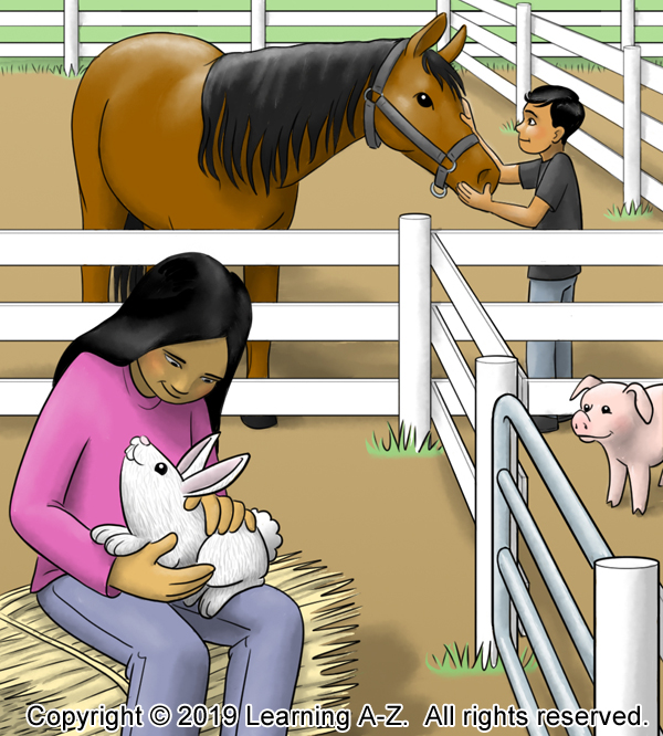 Page 2 - Image 2 - Final v2