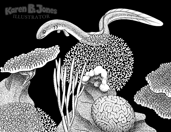 An eel swimming around some coral.