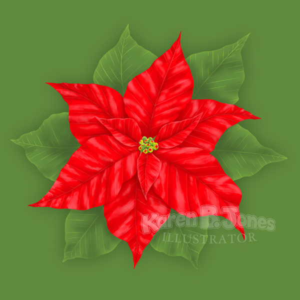 An illustration of a poinsettia plant on a green background.