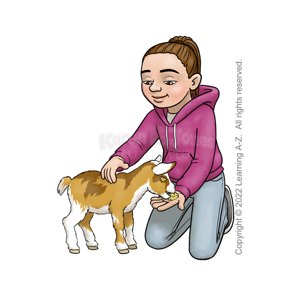 A white girl aged 7-9 kneels next to a goat she is feeding and petting.  Her brown hair is pulled back into a ponytail.  She is wearing jeans, a dark pink hoodie, and sneakers.  The small goat is tan with white and darker brown patches.  

The image is watermarked with the artist's logo and a line of text noting the client's copyright as, "Copyright (c) 2022 Learning A-Z.  All rights reserved."