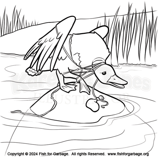 A duck standing on a rock in a river.  He is tangled in a balloon string.  